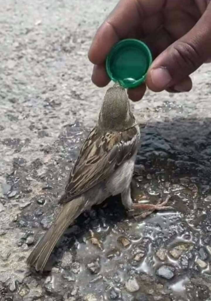 .