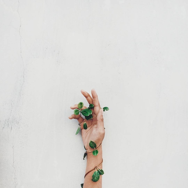 heal through nature