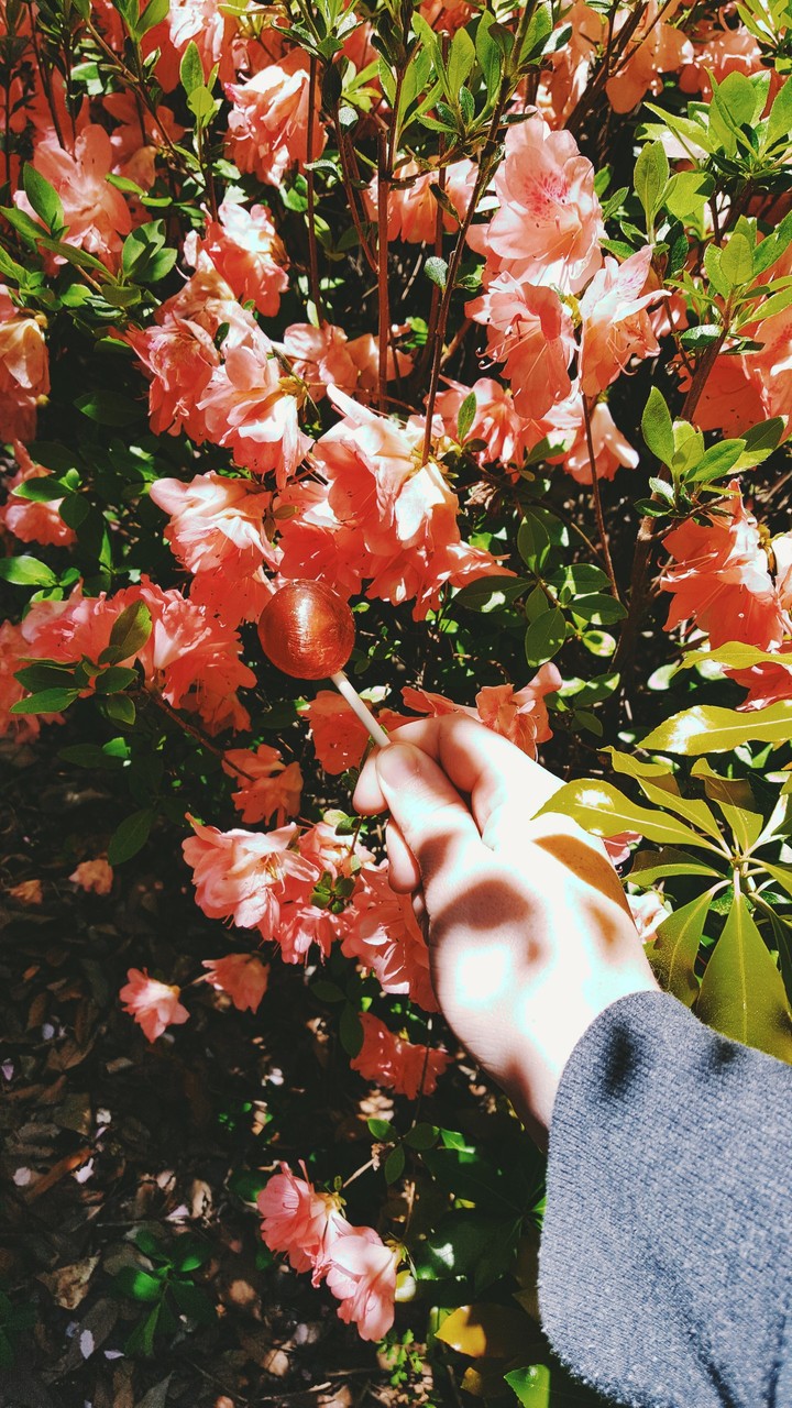 spring
