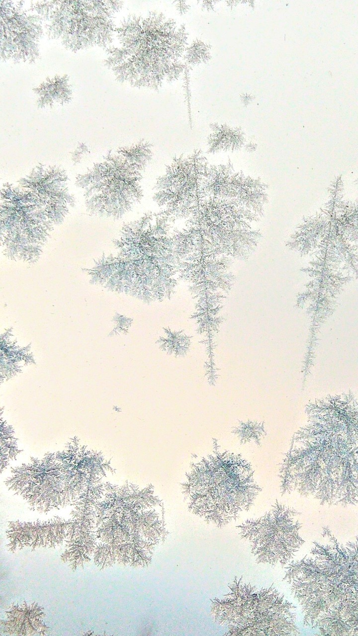 Winter morning pattern
