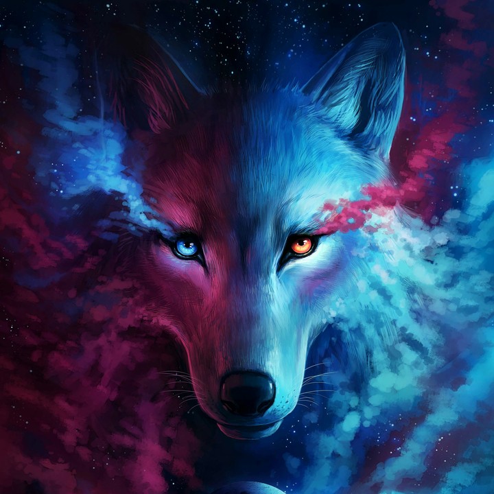 Wolf galx