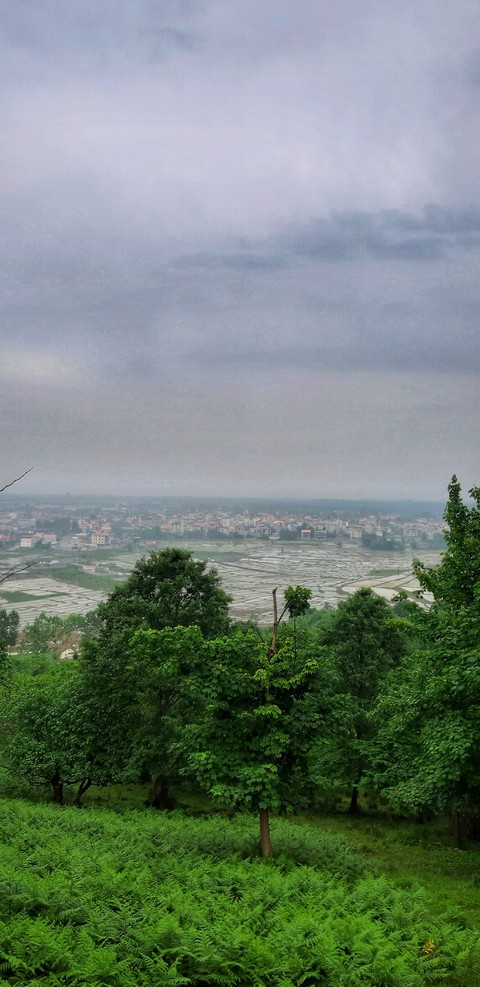 A beautiful view