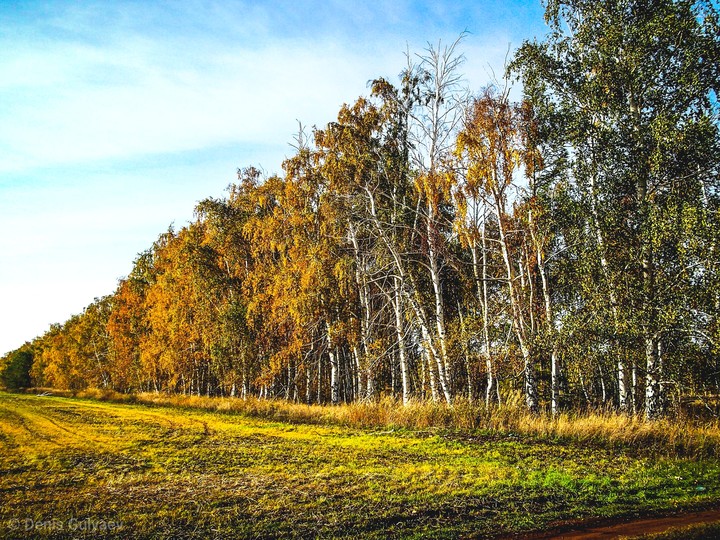 Золотая осень