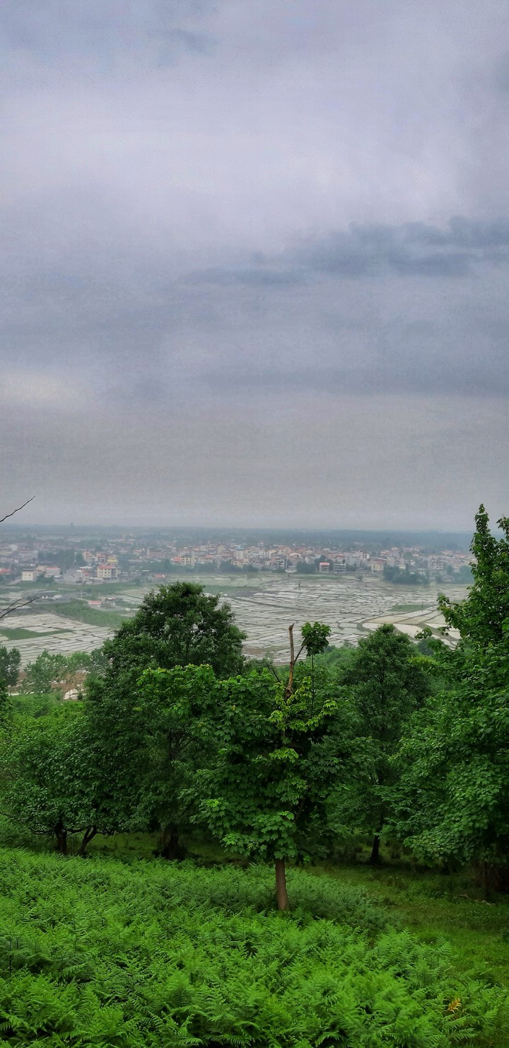 A beautiful view