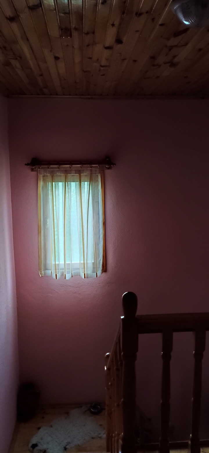 Window