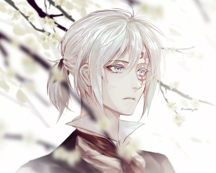 D Gray man