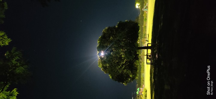night
