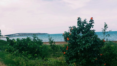 Old Bahia Honda Bridge