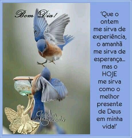 Para todos vocês amigos queridos.