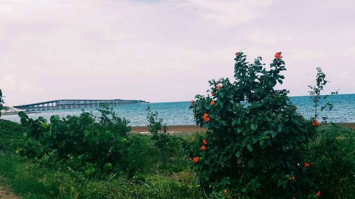 Old Bahia Honda Bridge