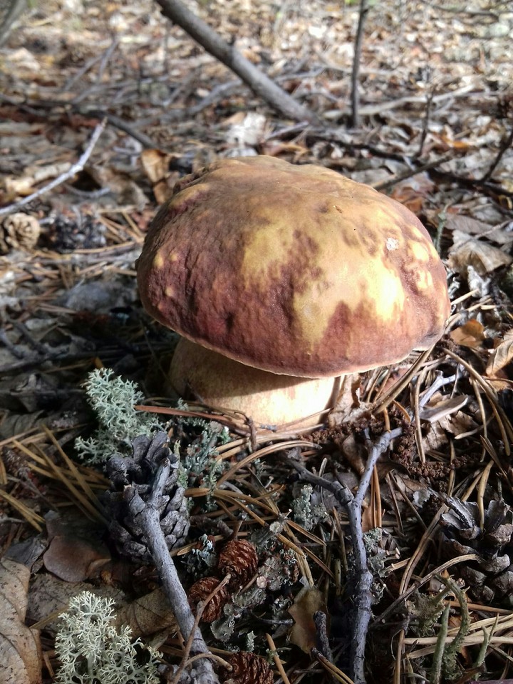 ?