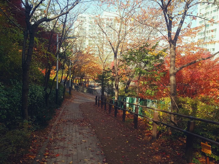 가을 일상