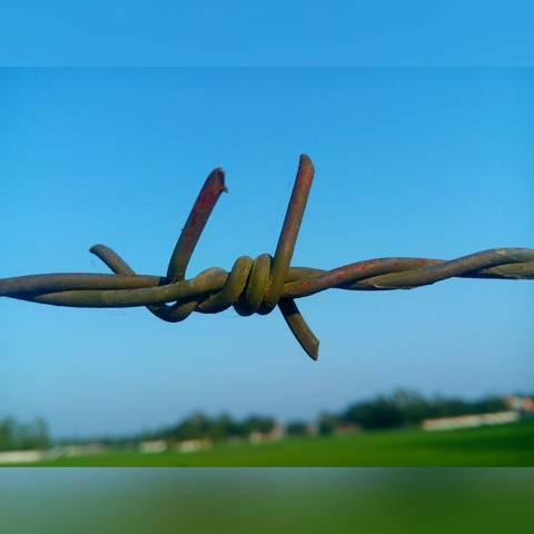 কাঁটাতার