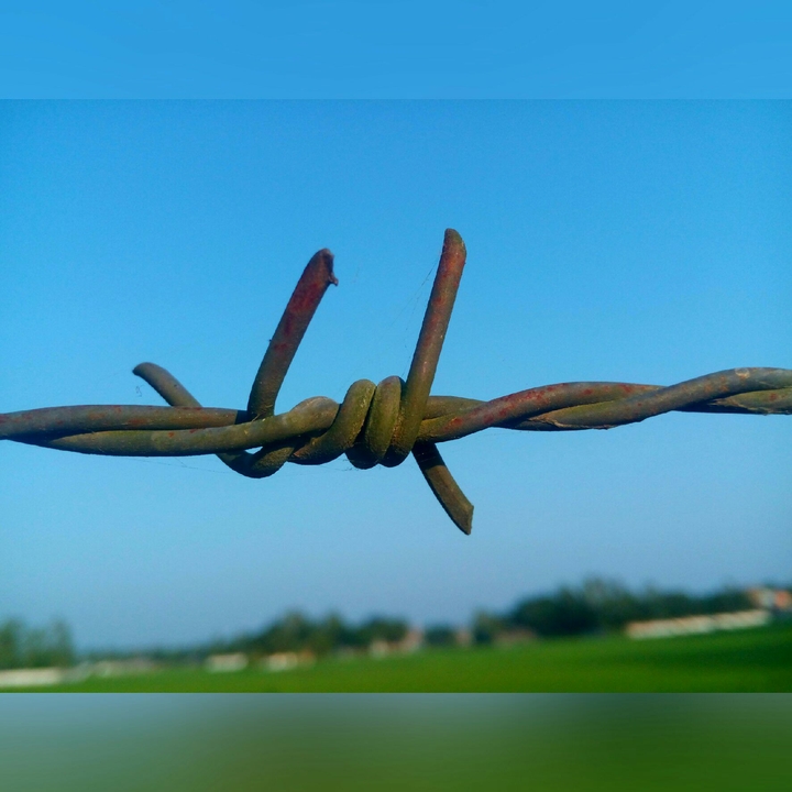 কাঁটাতার
