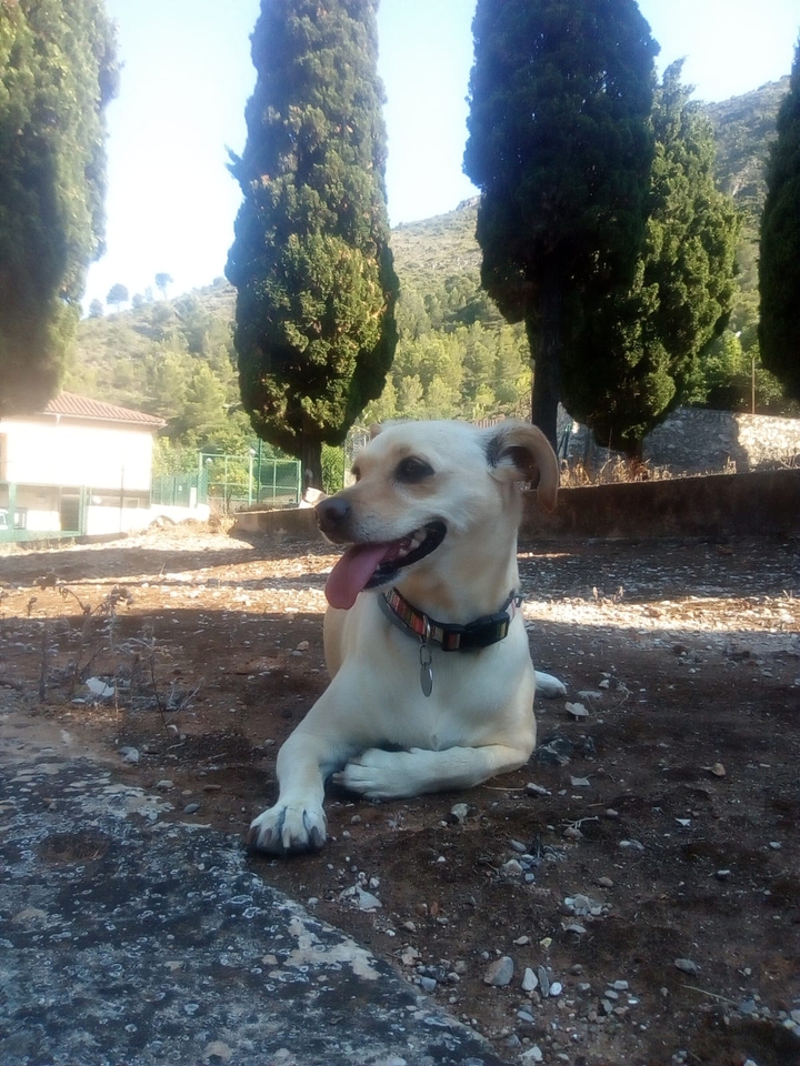 Perla ❤️