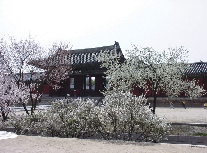 풍경이미지