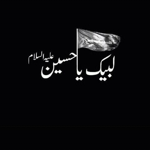 یا حسین علہ سلام