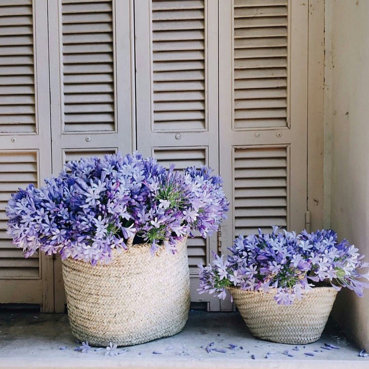 wicker basket