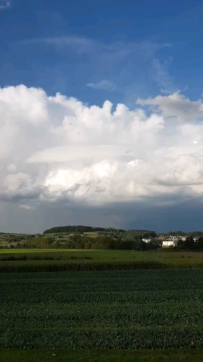 Tanzende himmel, ALLAH Tevhid