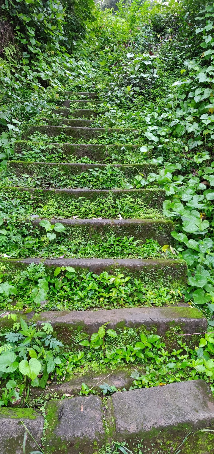 Stairway to heaven