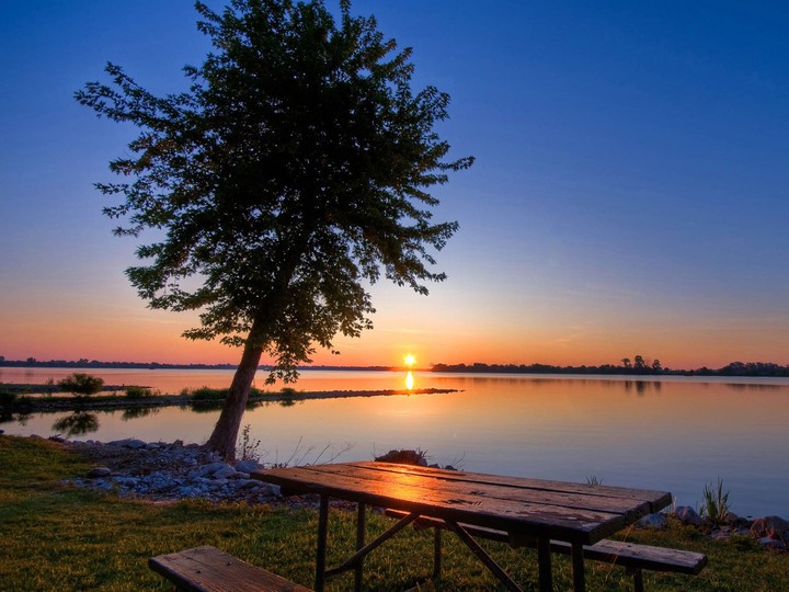 Nature scene
