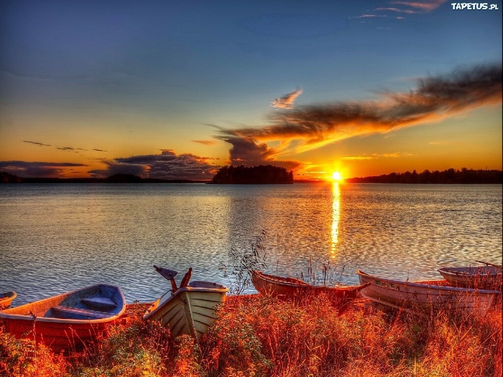 краски осени