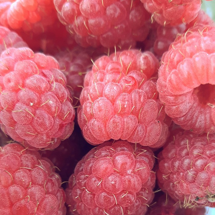 raspberries