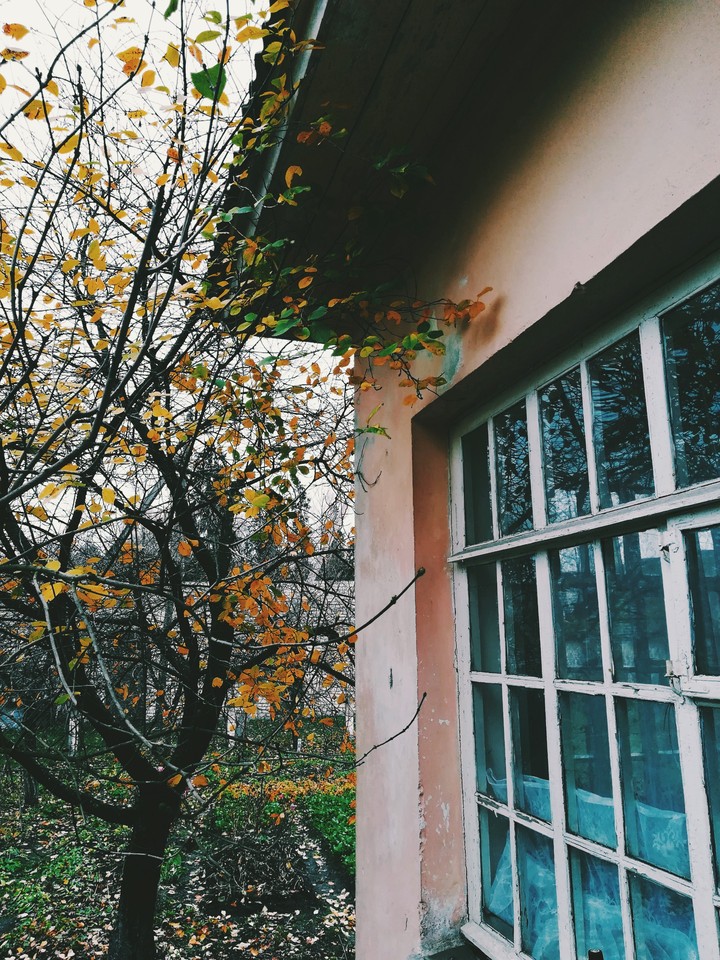 Autumn