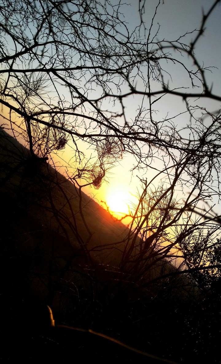 sunset