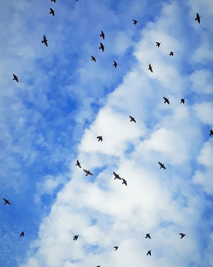blue sky