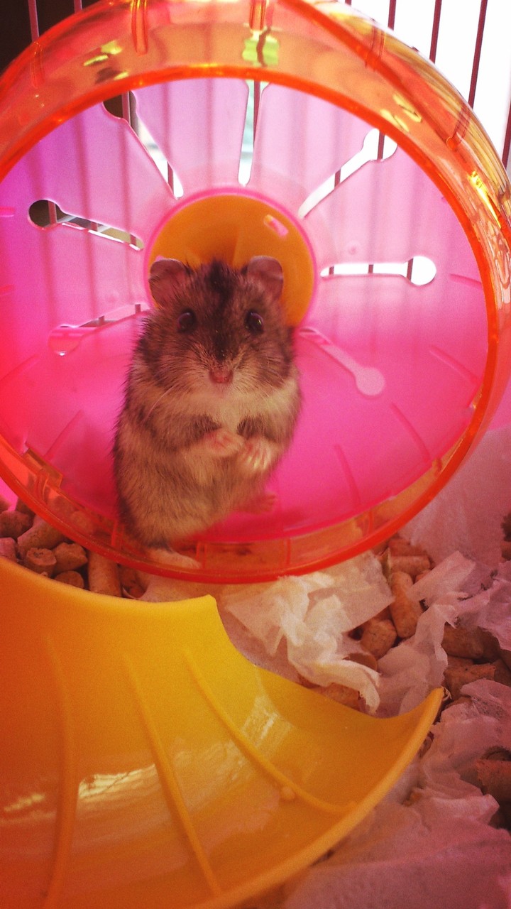 my love)))