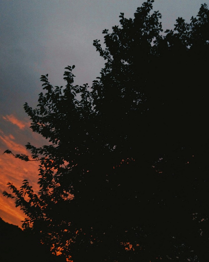 Dusk
