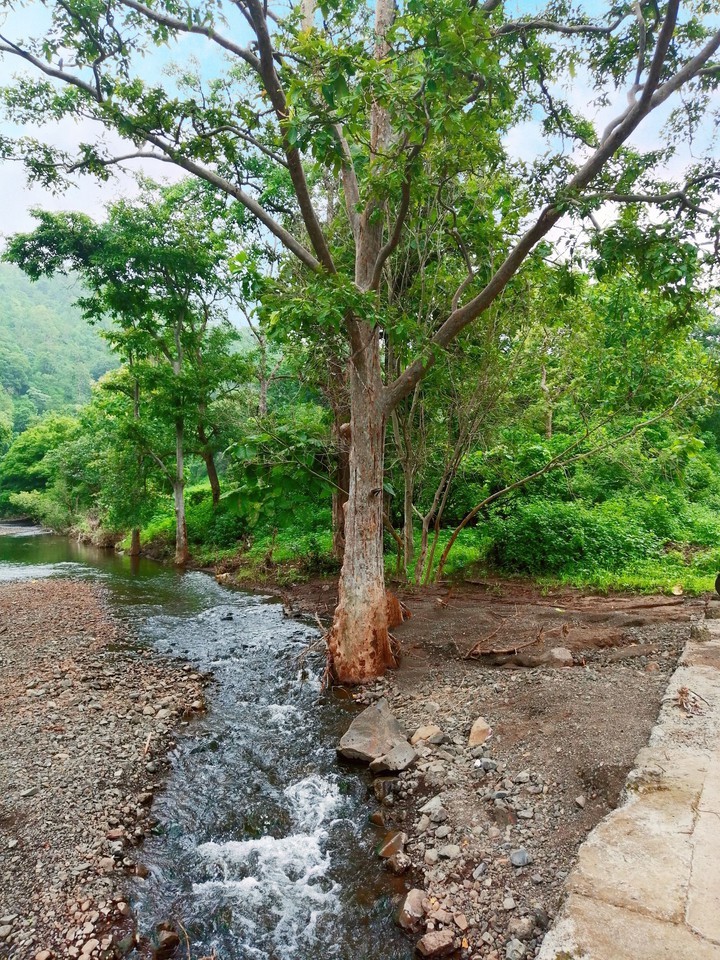 a stream