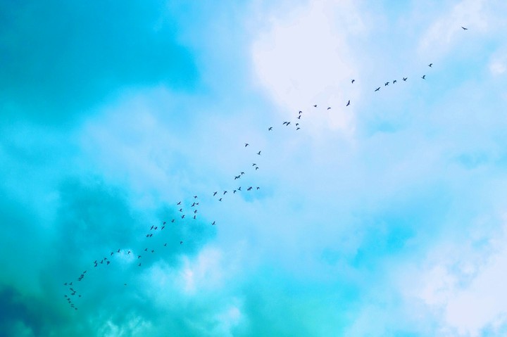 blue sky