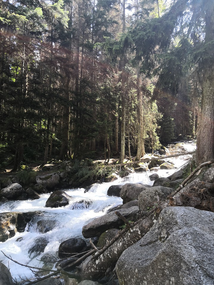Waterfall