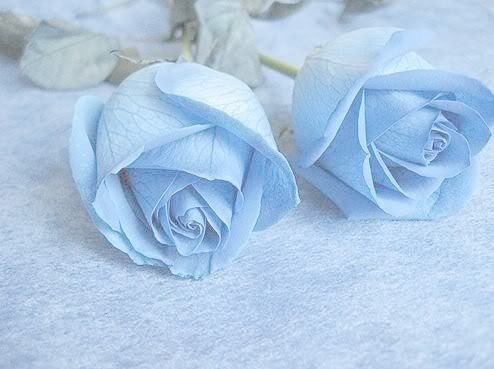 baby blue