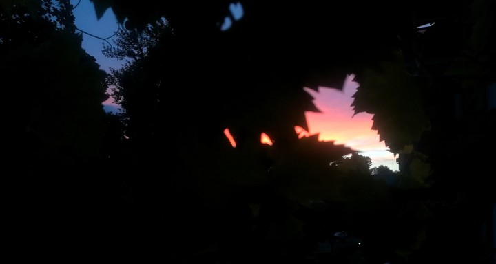 sunset