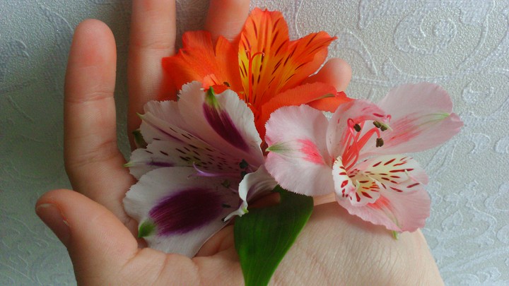 Flowers forever