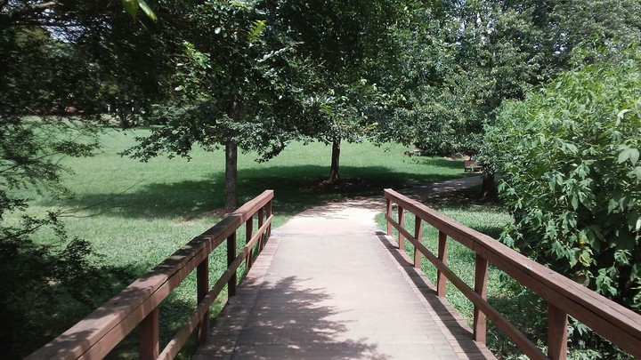 The bridge