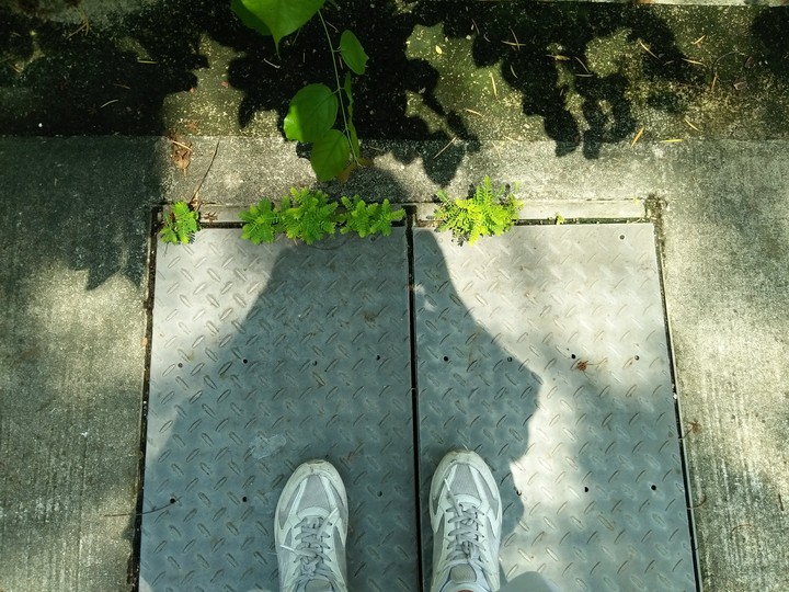 Dirty white shoes