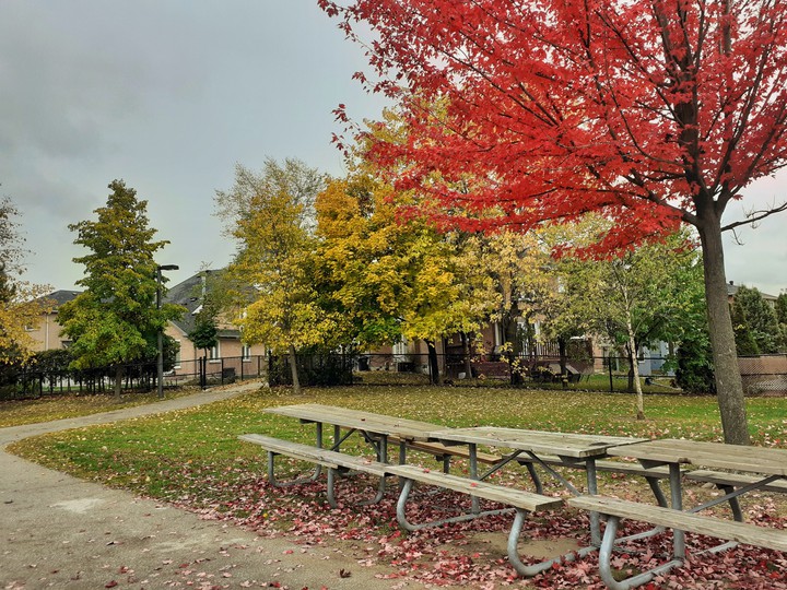 Autumn