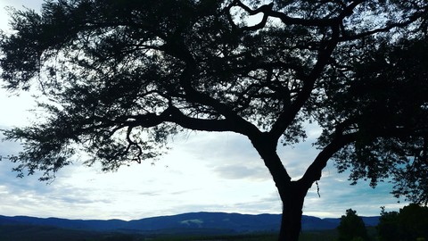 After the rain