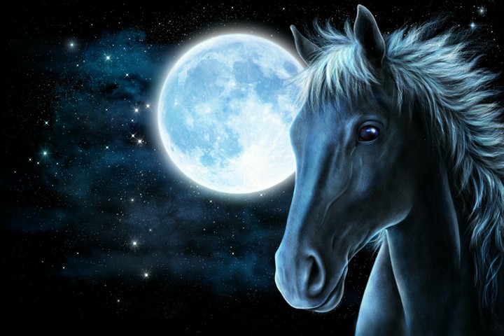 moonlight the horse