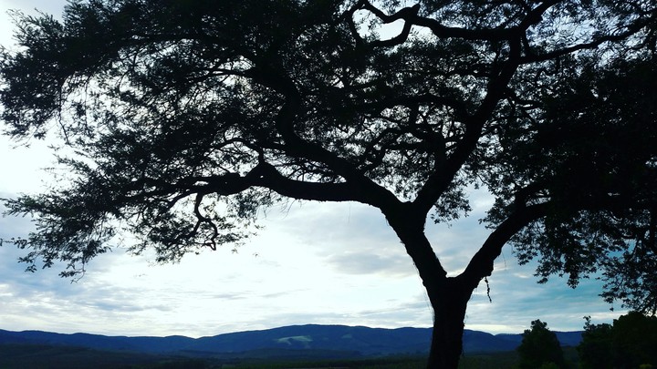 After the rain