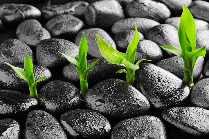 Soil