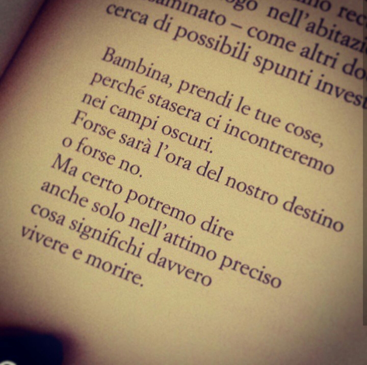 book text