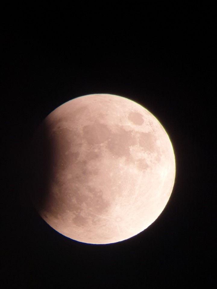 goodnight moon