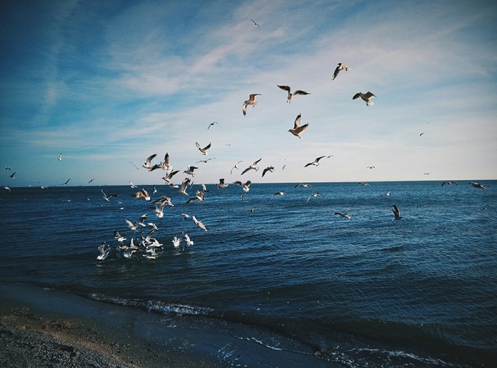 Sea