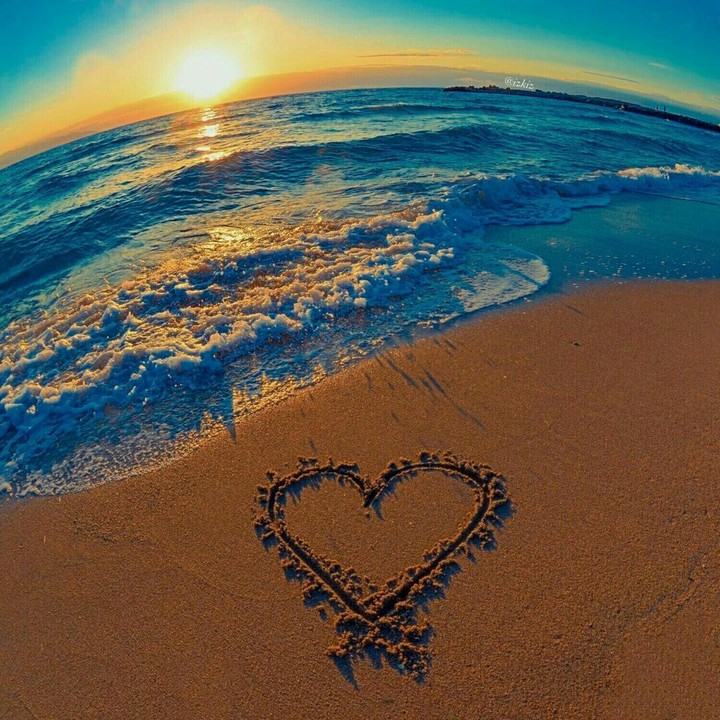 heart