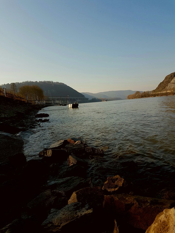 Rhein